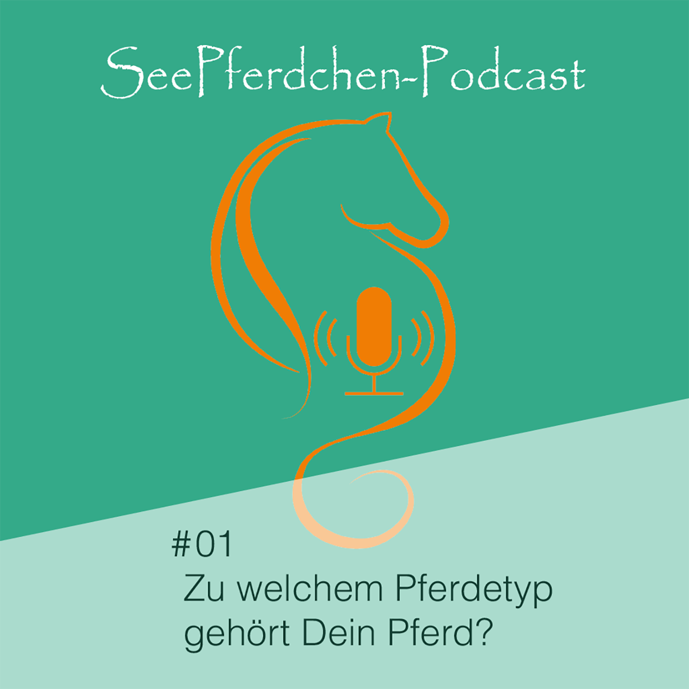 Seepferdchen-Podcast Folge 1 Zu welchem Pferdetyp gehört dein Pferd