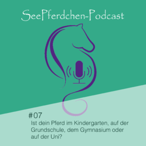 SeePferdchen Podcast Folge 7 Ist dein Pferd im Kindergarten, der Grundschule, auf dem Gymnasium oder der Uni?