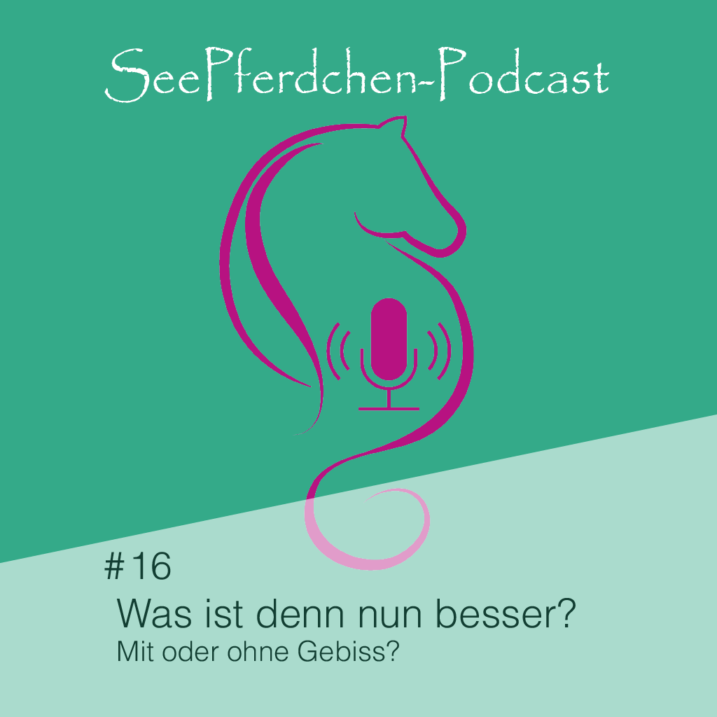 SeePferdchen Podcast Folge # 16 Was ist denn nun besser? Mit oder ohne Gebiss?