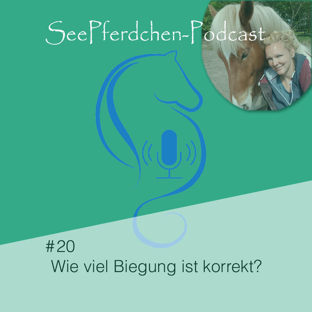 #20 | Wie viel Biegung ist korrekt?