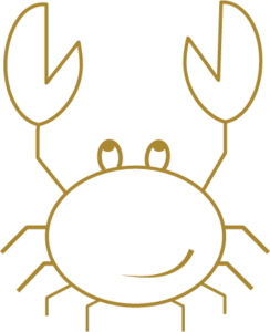 Krebs - Übung - Die geheimen Zutaten exzellenter Reiter - Persönlichkeitsbericht