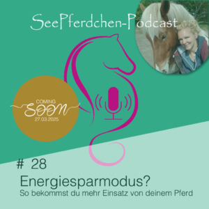 #28 │ Energiesparmodus - Drei Fragen für niedrig energetische Pferde