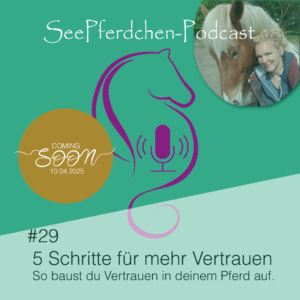 #29 │ 5 Schritte für mehr Vertrauen