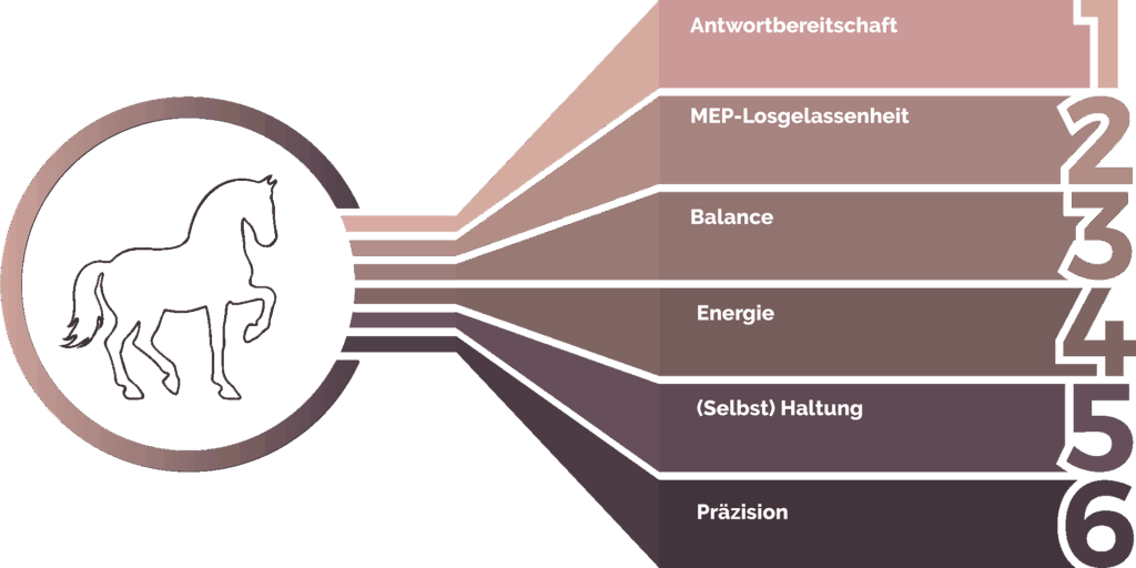 Erweiterte Ausbildungsskala des Pferdes
