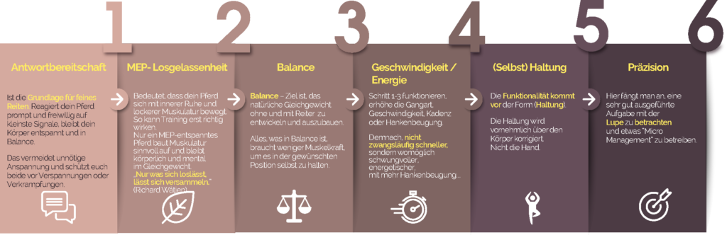 Erweiterte Ausbildungsskala des Pferdes Erklärung
