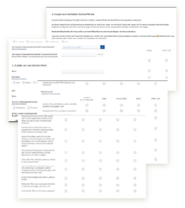 Fragebogen Persönlichkeitstest für Pferde