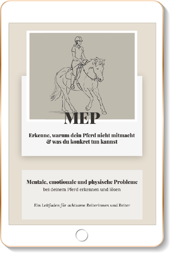 Tablet MEP Probleme erkennen und lösen